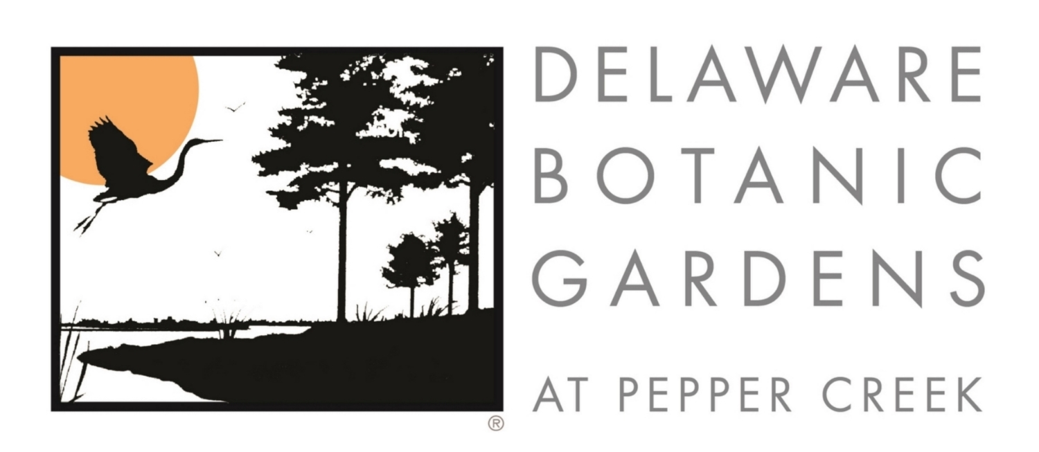 DE Botanic Gardens
